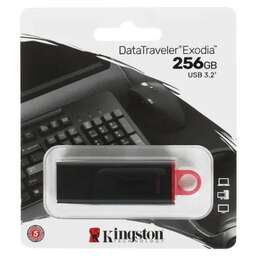 KINGSTON Флэш-накопитель USB3.2 256GB DTX/256GB