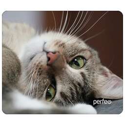 PERFEO (PF_D0660) "Cat"