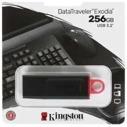 KINGSTON Флэш-накопитель USB3.2 256GB DTX/256GB