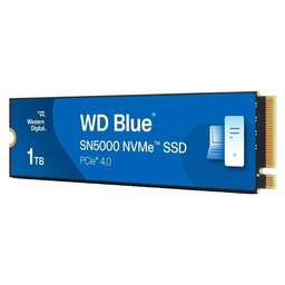 Western Digital WDS100T4B0E