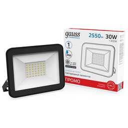 GAUSS Прожектор уличный Elementary, 30Вт [613100330p]
