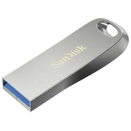 SanDisk SDCZ74-256G-G46