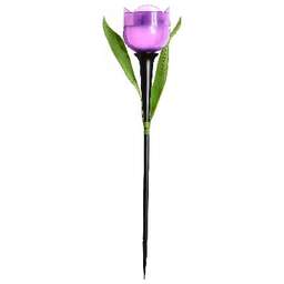 UNIEL (UL-00004278) USL-C-453/PT305 PURPLE TULIP