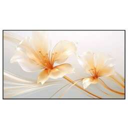 XGIMI Экран 100" UST ALR Screen, 224.5х127.6 см, 16:9, настенный [p165s]