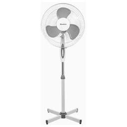 BLACKTON Bt F1115 White