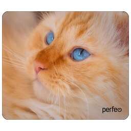 PERFEO (PF_D0667) "Cat"