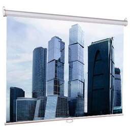 LUMIEN Экран 200x200см Eco Picture LEP-100103 1:1 настенно-потолочный рулонный