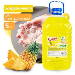 CLEAN&GREEN CG8228 Soapy Light Ананас 5л