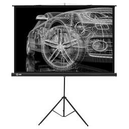CACTUS Экран Triscreen CS-PST-124x221, 221х124.5 см, 16:9, напольный черный
