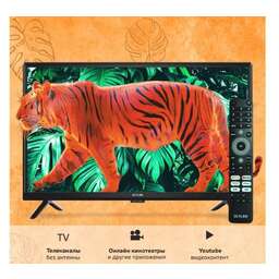SKYLINE 24YST5970 HD SMART TV