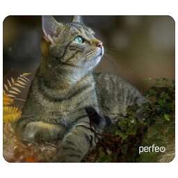 PERFEO (PF_D0671) "Cat"