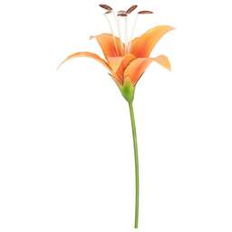 PARK Штекер садовый Лилия Оранж (108843)