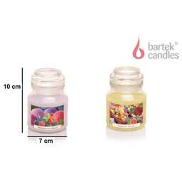 BARTEK Фруктовый (FRUITFUL) 130гр в баночке