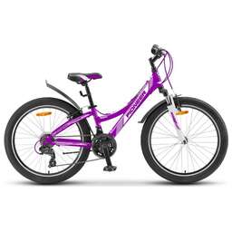 PIONEER FIESTA 24"/13" violet-white