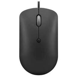 LENOVO Мышь проводная 400, оптическая, USB-C, 2400dpi, черный [gy51d20875]