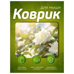 PERFEO (PF_E1768) ЦВЕТЫ