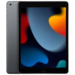 APPLE 10.2" Планшет iPad 2021 Wi-Fi + Cellular A2604 3/256 GB A13 Bionic 4G, 2160 x 1620, iOS, серый космос [mk4e3zp/a]