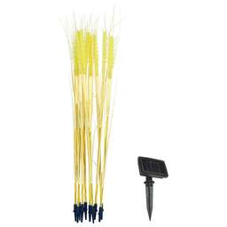 UNIEL (UL-00009379) USL-S-817/PT800 CORN SET10