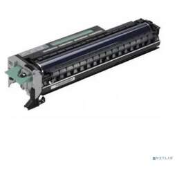 Ricoh D2443020