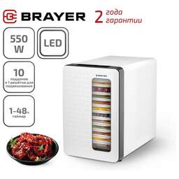 BRAYER BR1904