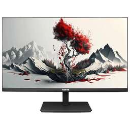 RDW COMPUTERS Монитор 23.8" RDW2401K черный IPS 4ms 16:9 HDMI матовая 250cd 178гр/178гр 1920x1080 100Hz VGA DP FHD 4.185кг (RUS)