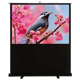 CACTUS Экран 59" 90x120см FloorCompactExpert CS-PSFLCE-120X90 4:3 напольный рулонный