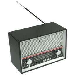 RITMIX RPR-101 черный