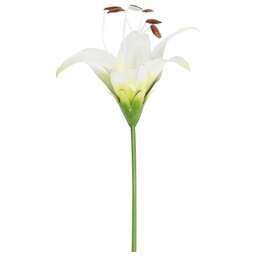 PARK Штекер садовый Лилия Аполло (108842)