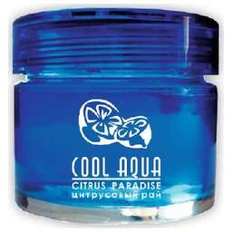 AZARD (СА-12) ароматизатор Cool Aqua, цитрусовый рай