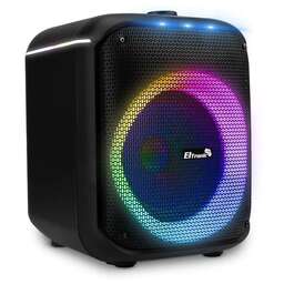 ELTRONIC (30-79) DANCE BOX 550 - колонка 08"