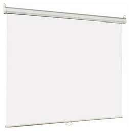 LUMIEN Экран Eco Picture LEP-100106, 127х127 см, 1:1, настенно-потолочный