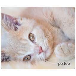PERFEO (PF_D0641) "Cat"