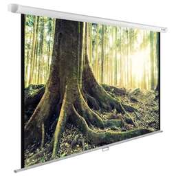 CACTUS Экран 122" 220x220см WallExpert CS-PSWE-220x220-WT 1:1 настенно-потолочный рулонный
