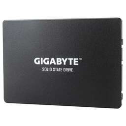 Gigabyte GP-GSTFS31100TNTD