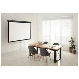 CACTUS Экран 119" 213x213см Wallscreen CS-PSW-213X213-SG 1:1 настенно-потолочный рулонный серый