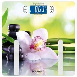 SCARLETT SC-BS33ED10