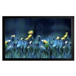 CACTUS Экран FrameExpert CS-PSFRE-200X113, 200х113 см, 16:9, настенный