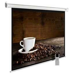 CACTUS Экран MotoExpert CS-PSME-300x300-WT, 300х300 см, 1:1, настенно-потолочный белый