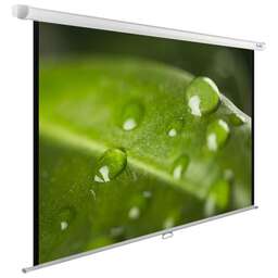 CACTUS Экран 99" 150x200см WallExpert CS-PSWE-200x150-WT 4:3 настенно-потолочный рулонный