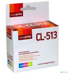 Easyprint IC-CL513