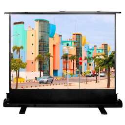 CACTUS Экран FloorExpert CS-PSFLE-160X120, 160х120 см, 4:3, напольный