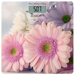 SCARLETT SC-BS33E009