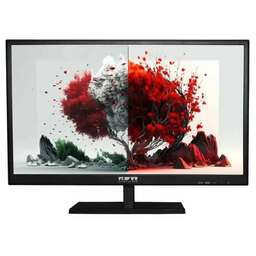 RDW COMPUTERS Монитор 23.8" RDW2401K черный IPS 4ms HDMI M/M HAS Piv 350cd 178гр/178гр 1920x1080 100Hz VGA DP FHD USB (RUS)