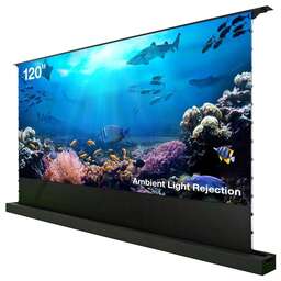 CACTUS Экран FloorRising CS-PSFRALR-263X148, 263х148 см, 16:9, напольный черный