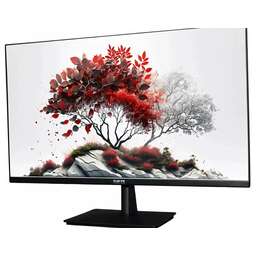 RDW COMPUTERS Монитор 27" RDW2701K черный IPS 1ms HDMI M/M 350cd 178гр/178гр 2560x1440 100Hz DP QHD (RUS)