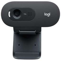 LOGITECH Камера Web HD Webcam C505e черный 1.2Mpix (1280x720) USB2.0 с микрофоном для ноутбука (960-001373)