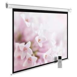 CACTUS Экран 134" 240x240см MotoExpert CS-PSME-240x240-WT 1:1 настенно-потолочный рулонный белый (моторизованный привод)