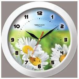 TROYKA РОМАШКИ 51510532