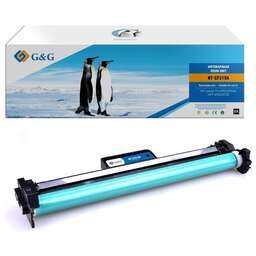 G&G GG-CF219A