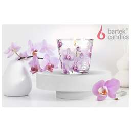BARTEK Орхидея Фаленопсис (Orchid Phalaenopsis) 115гр в стакане